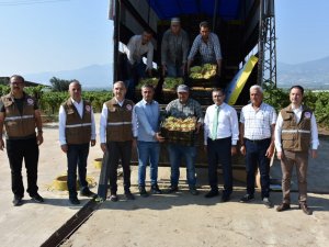 Manisa’nın Çekirdeksiz Sultaniye Üzümünün Dünya Yolculuğu Başladı
