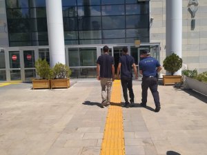 Elazığ’da Kablo Hırsızları Suçüstü Yakalandı