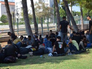 Didim’de 97 Göçmen Kamyonet Kasasında Yakalandı