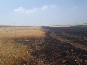 Manisa’da Anız Yangınlarına Karşı Uyarı