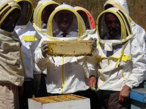 Vali Hatipoğlu, Arıcı Maskesini Giydi Bal Hasadı Yaptı