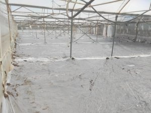 Mihalgazi Toprakları Solarizasyonla Korunuyor