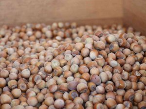 Tobb Başkanı Hisarcıklıoğlu: “Ülkemizde Faaliyette Olan Lisanslı Depo Kapasitemiz 8,5 Milyon Tona Ulaştı”