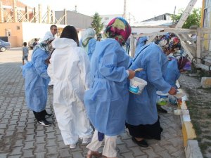 Köye Kadın Eli Değdi