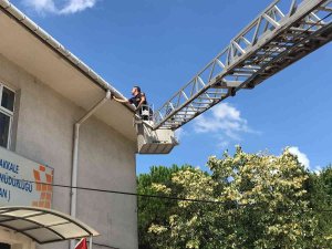 Çanakkale’de Boynuna İp Dolanan Ebabil Kuşu Kurtarıldı