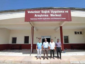 Uşak Belediyesinden Sokak Hayvanları İçin Önemli İş Birliği