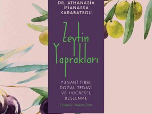 Yüzyıllardır Bedene Ve Ruha Şifa Olan Zeytinin Hikâyesi : Zeytin Yaprakları