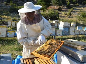 Antalya’da Balda Son 23 Yılın En Yüksek Rekolte Beklentisi