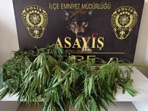 İ̇zmir’de Polisten Uyuşturucu Tacirlerine Yönelik 4 Ayrı Operasyon