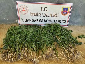 İ̇zmir’in 9 İlçesinde Uyuşturucu Operasyonları: 26 Gözaltı