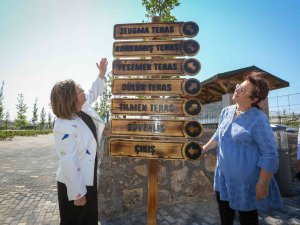 Şahin: “Yeni Karavan Park Bu Hafta İçinde Hizmete Açılacak”