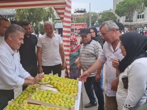 Buharkent’te Vatandaşlara 2 Ton Taze İncir Dağıtıldı