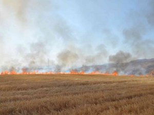 Siirt’te Çiftçilere Ve Piknikçilere Anız Uyarısı