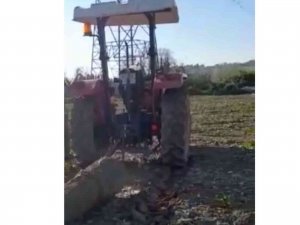 Hasat Zamanı Çiftçinin Traktörünü Çaldılar