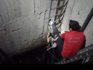 Su Kuyusuna Düşen Köpek Kurtarıldı