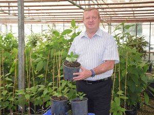 Batem’in Kahve Tohumları Fidana Dönüştü