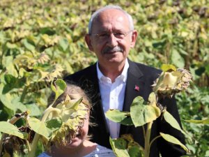 Kılıçdaroğlu: Ayçiçeği Taban Fiyatı Ton Başına 16 Bin Lira Olmalı
