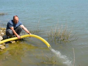 Ayvacık’ta Baraj Ve Gölete 110 Bin Adet Sazan Yavrusu Bırakıldı