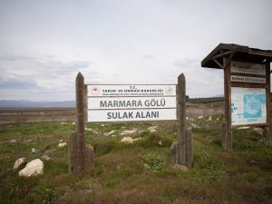 Marmara Gölü Havzası Ti̇gem’e Tahsisi Onaylandı