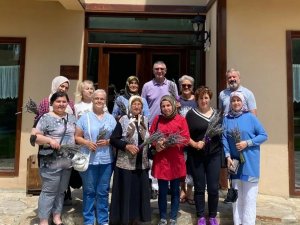 Kastamonu’nun Köylerinde Lavanta Kokacak