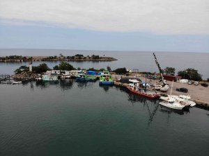 Balıkçıların Umudu Palamut: “Palamut Şimdiden Yarım Kilograma Ulaştı”