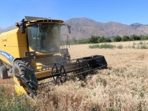 Hububat Hasadının Başlamasıyla Biçerdöverler Yönelik Denetimler Arttırıldı