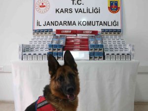 Kars’ta Kaçak Sigara Ele Geçirildi