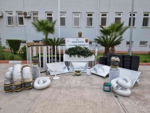 Kaçak Elektrikle Kenevir Yetiştirmiş