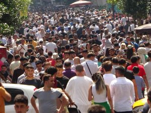 İ̇şsiz Sayısı Bir Önceki Aya Göre 136 Bin Kişi Azalarak 3 Milyon 541 Bin Kişi Oldu