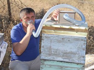 Elazığlı Arıcı Geliştirdi, Koah Ve Astım Hastalarına Umut Olacak