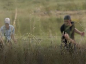 Ardahan’da Çiftçiler Tırpanla Ot Biçme Geleneğini Sürdürüyor