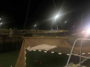 Fransa’da Nehirde Mahsur Kalan Beyaz Balina 6 Saatlik Operasyonla Sudan Çıkarıldı