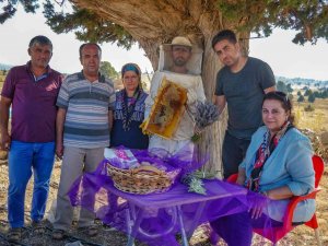Silifke’de Lavanta Balı Üretimi Yapıldı