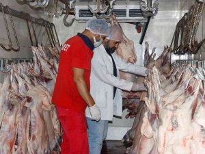 Diyarbakır’dan Kuveyt’e Küçükbaş Hayvan Eti İhracatı