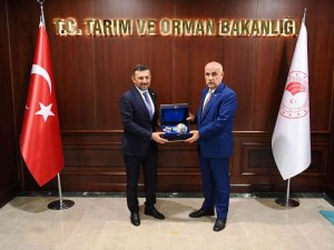 "Küçük Arazilerden Verim Alamıyoruz, Toplulaştırma İstiyoruz”