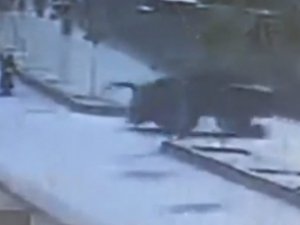 Traktör Motosikletlinin Üzerinden Geçti; O Anlar Kameraya Yansıdı