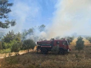 Manisa’da Aynı Anda Farklı İki Noktada Çıkan Orman Yangınlarına Hızlı Ve Etkin Müdahale