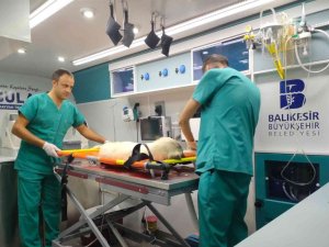 Balıkesir’de Sokak Hayvanları Vetbüs Ve Vetbülans’a Emanet