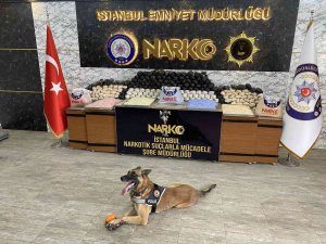İ̇stanbul’da Narkotik Operasyonu: 72 Kilo Esrar İle Yüz Binlerce Uyuşturucu Hap Ele Geçirildi