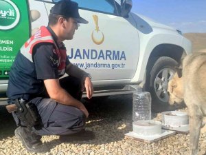 Jandarmadan Hayvanlara Şamandıra Sistemli Su Ve Yem Kapları