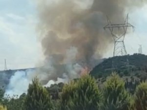 Kocaeli’de Ormanlık Alanda Yangın Çıktı