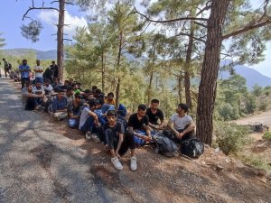 Seydikemer’de Ormanlık Alanda 89 Düzensiz Göçmen Yakalandı