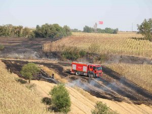 Edirne’de Anız Yangını