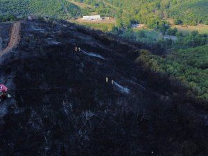 Kocaeli’de Ormanlık Alanda Yangın Çıktı, 4 Hektar Alan Küle Döndü