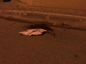 Parkta Çıkan Kavgada 16 Yaşındaki Genç Boynundan Bıçaklandı