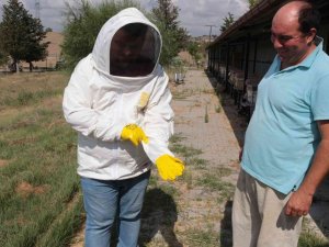 Balıkesir Kraliçe Arısı İle De Meşhur Olacak