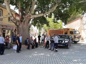 İ̇zinsiz Kazıda Asırlık Anıt Ağacın Köklerini İş Makinesiyle Parçaladılar