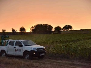 Bilecik Belediyesi’nin Çayır Tırtılı İle Mücadele Çalışmaları Devam Ediyor