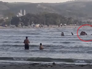 Boğulma Tehlikesi Atlatan Genci Zodyak Bot Kullanan Vatandaş Kurtardı
