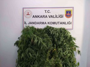 Başkentteki 5 Farklı Uyuşturucu Operasyonunda 7 Kişi Yakalandı